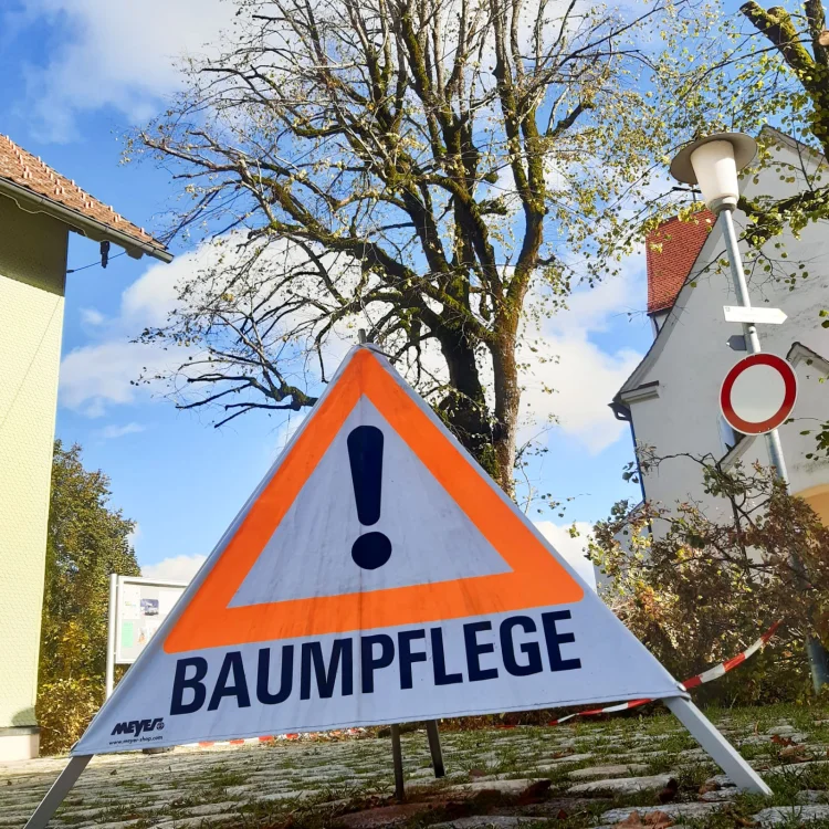 Großbaumpflege