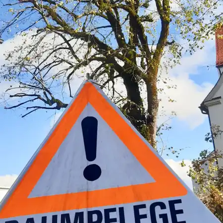 Großbaumpflege