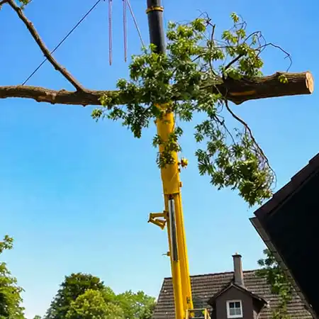 Spezialfällung