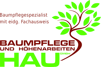 Baumpflege Hau